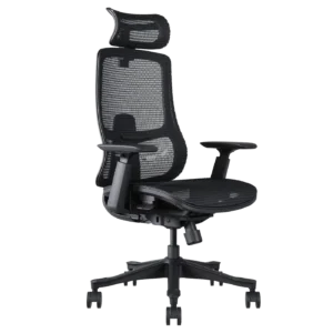 Desk & Office Premium - Mesh